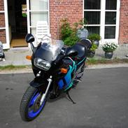 Suzuki GSX 600 F