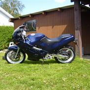 Suzuki gsx 250