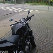 Suzuki sv1000