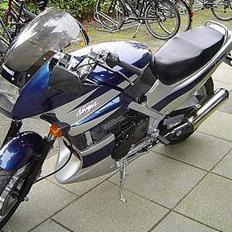 Kawasaki EX 500 A