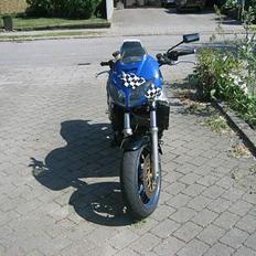 Yamaha FZR 1000  SOLGT