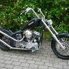 Harley Davidson Panhead