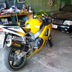 Honda CBR #død#