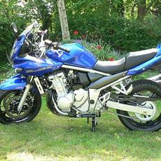 Suzuki GSF650SAK7 BANDIT
