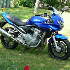 Suzuki GSF650SAK7 BANDIT