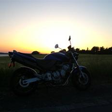 Honda cb 600 f hornet