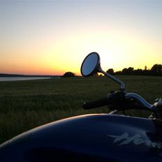 Honda cb 600 f hornet