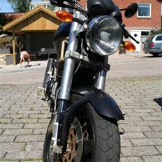Ducati Monster