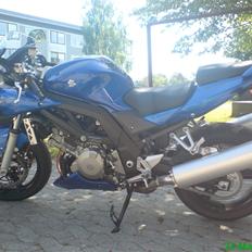 Suzuki sv1000sk7