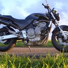 Honda CB600F Hornet 