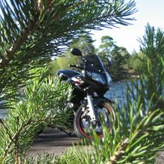 Suzuki SV 1000s K7 - Solgt - :-(