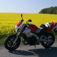 Suzuki GSR 600 (solgt)