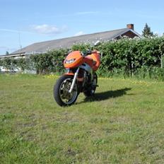 Kawasaki zxr 750 "Streetfighter"