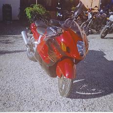 Suzuki hayabusa