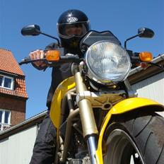 Ducati MONSTER