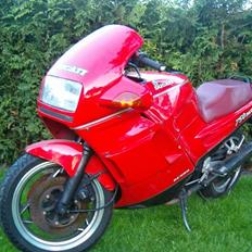 Ducati paso 750 (SOLGT)