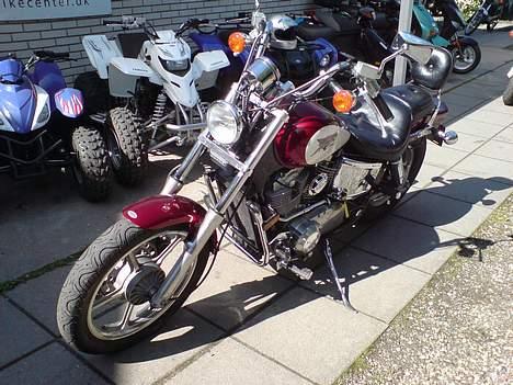 Honda vt 1100 Shadow billede 6