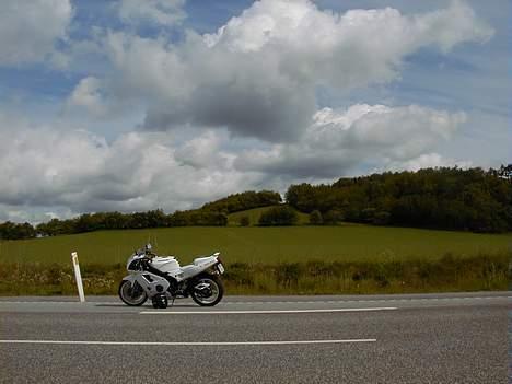 Kawasaki zxr 400 (zx-4r) Solgt billede 4