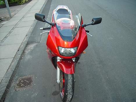 Suzuki RF 900 *død* billede 7