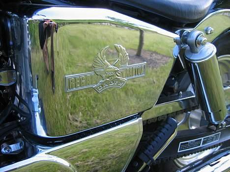 Regal Raptor 250E-9B #SOLGT# billede 6