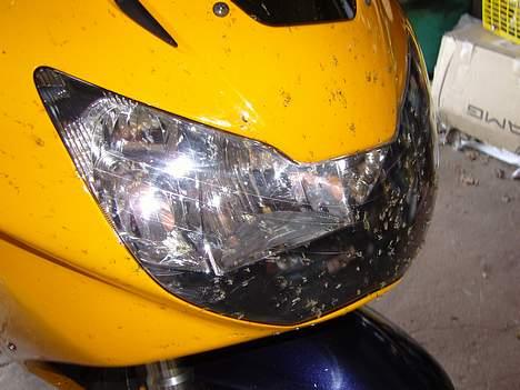 Honda CBR #død# - satans insekter.... hvorfor fik vi ikke mere frost i vinters!!! billede 3