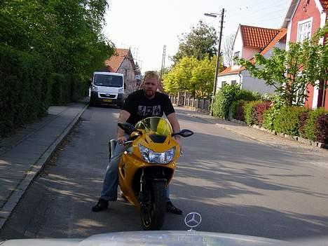 Honda CBR #død# - Tossen selv på ryggen af sin ged billede 10