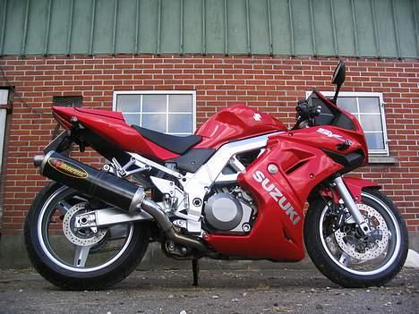 Suzuki SV1000S  billede 1