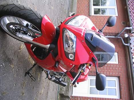 Suzuki SV1000S  billede 4
