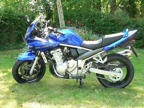 Suzuki GSF650SAK7 BANDIT billede 1