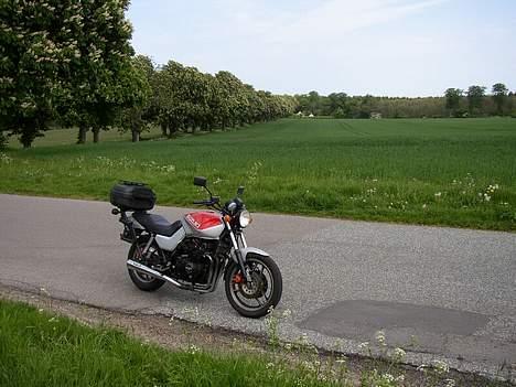 Suzuki gs 650 katana billede 10