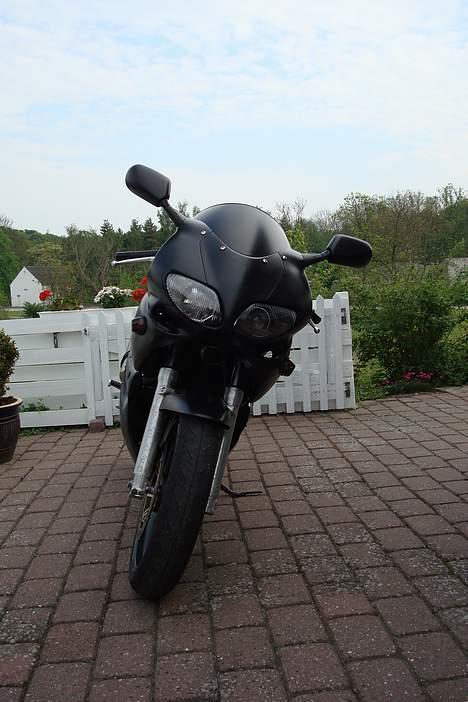 Suzuki SV 650 billede 2