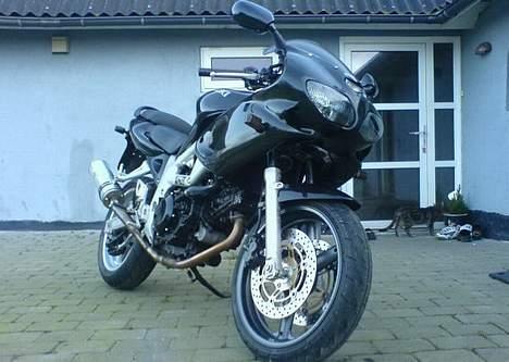 Suzuki SV 650 - Sådan så den ud inden ombygningen. billede 3