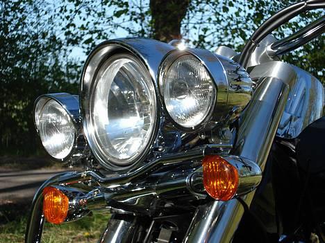 Suzuki vl 800 billede 4