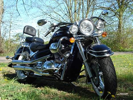 Suzuki vl 800 billede 6
