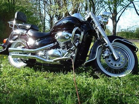 Suzuki vl 800 billede 8