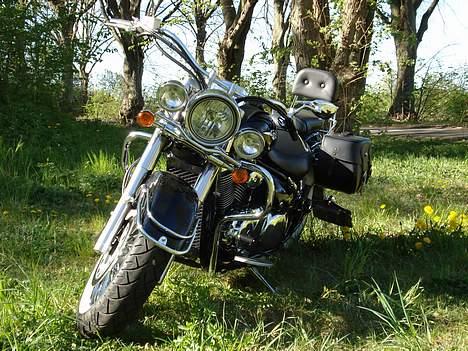 Suzuki vl 800 billede 9