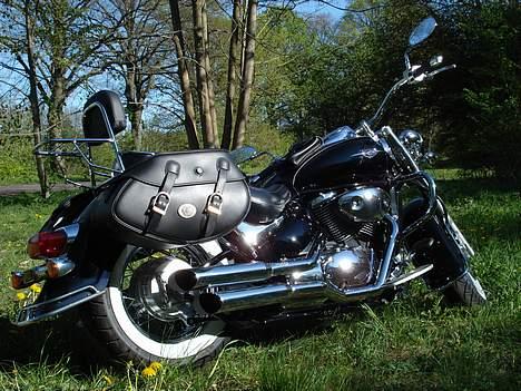 Suzuki vl 800 billede 10