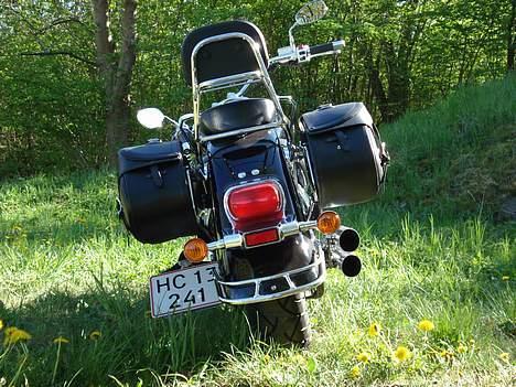 Suzuki vl 800 billede 11