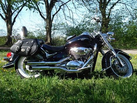 Suzuki vl 800 billede 14