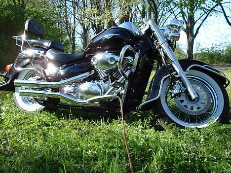 Suzuki vl 800 billede 16