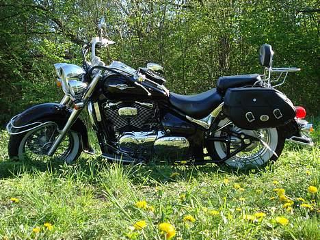 Suzuki vl 800 billede 17