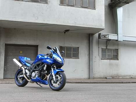 Suzuki SV650 ( Skødstrup ) billede 13