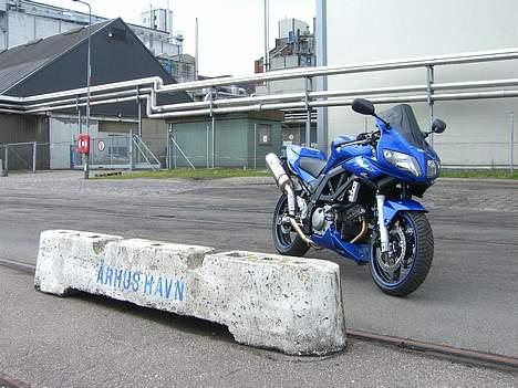 Suzuki SV650 ( Skødstrup ) billede 16