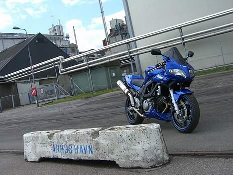 Suzuki SV650 ( Skødstrup ) billede 17