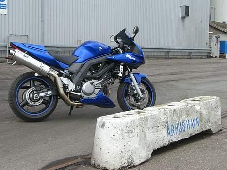 Suzuki SV650 ( Skødstrup ) billede 18