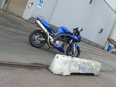 Suzuki SV650 ( Skødstrup ) billede 19