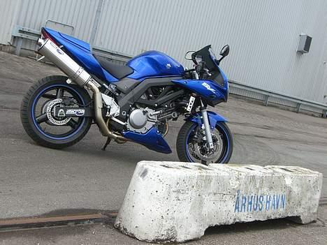 Suzuki SV650 ( Skødstrup ) billede 20