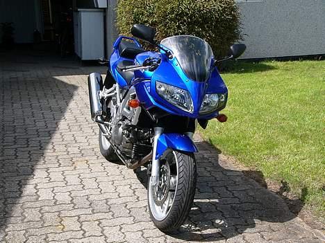 Suzuki SV650S K3 *Solgt* - Første billede, da den er kommet ud af varevognen og ud i solen... billede 2