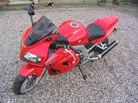 Suzuki SV1000S  billede 10