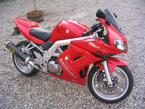 Suzuki SV1000S  billede 13